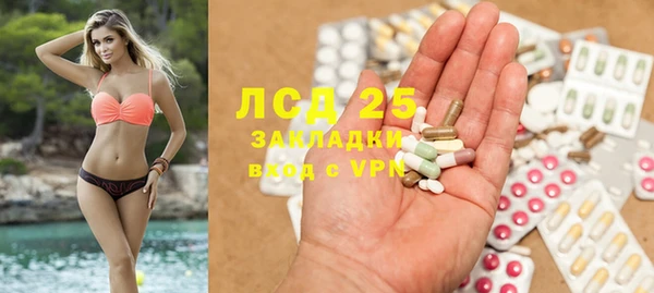 дживик Баксан
