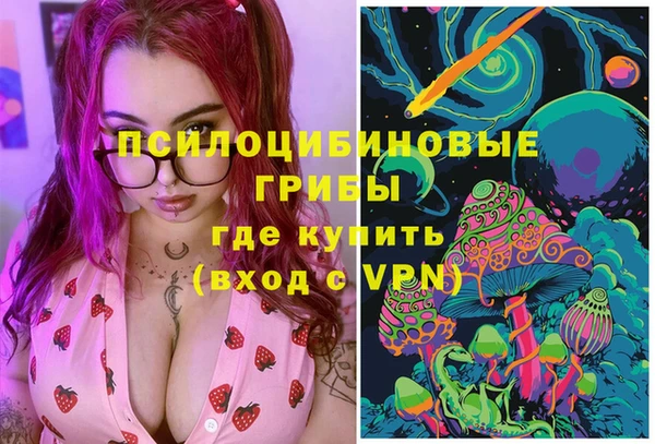 дживик Баксан