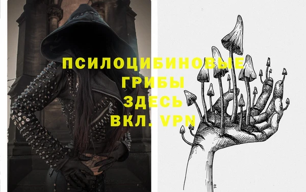 дживик Баксан