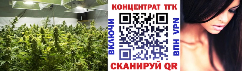 закладки  Грязовец  kraken онион  ТГК Wax 